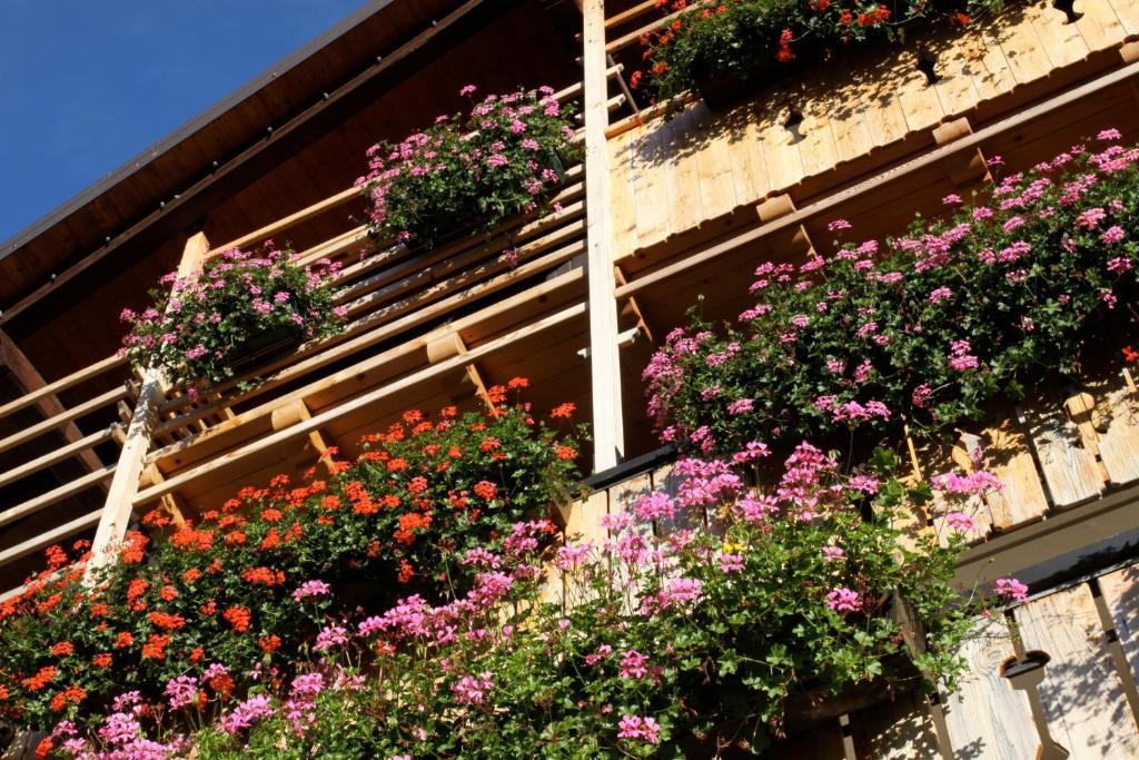 Albergo Centrale Forni di Sopra Dış mekan fotoğraf